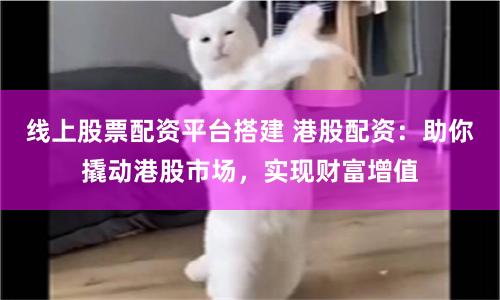 线上股票配资平台搭建 港股配资：助你撬动港股市场，实现财富增值