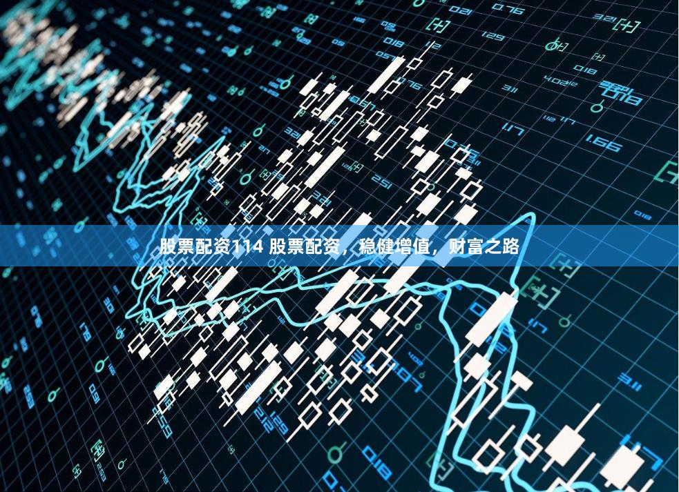 股票配资114 股票配资，稳健增值，财富之路