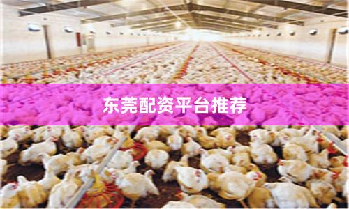 东莞配资平台推荐