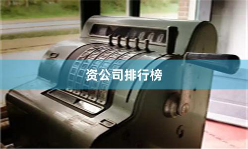 资公司排行榜