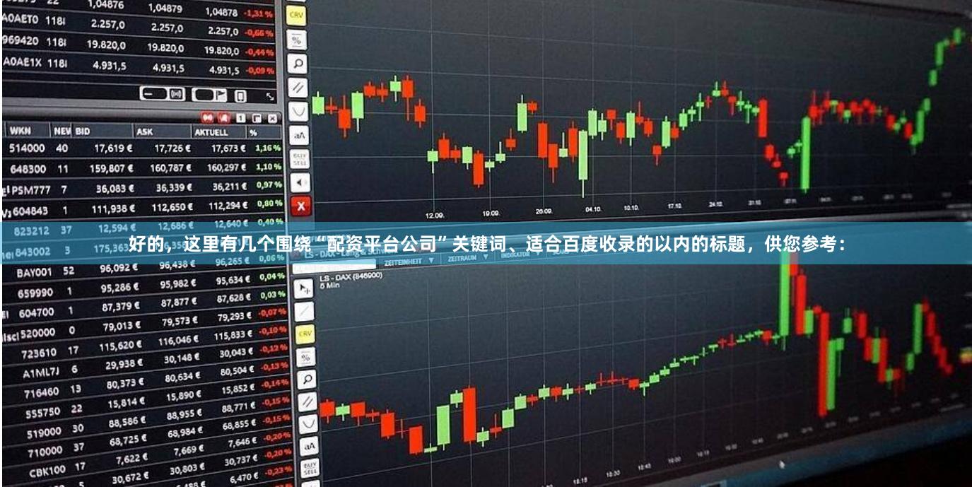 好的，这里有几个围绕“配资平台公司”关键词、适合百度收录的以内的标题，供您参考：