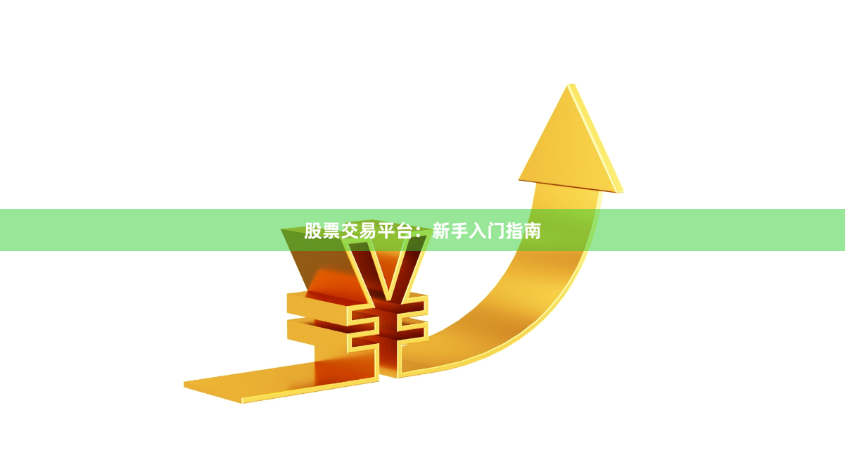 股票交易平台：新手入门指南